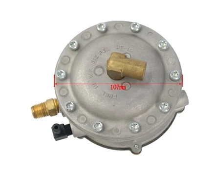 Heftruckonderdelen VFF30 Vacuümklepconstructie, LPG-filter met OEM: 3EB-05-D5250