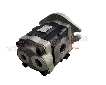Hydraulische pomp DSG05C20F9H9-R273C voor HL/elektrische vorkheftruck